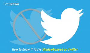 How to Know if You’re Shadowbanned on Twitter - Twesocial