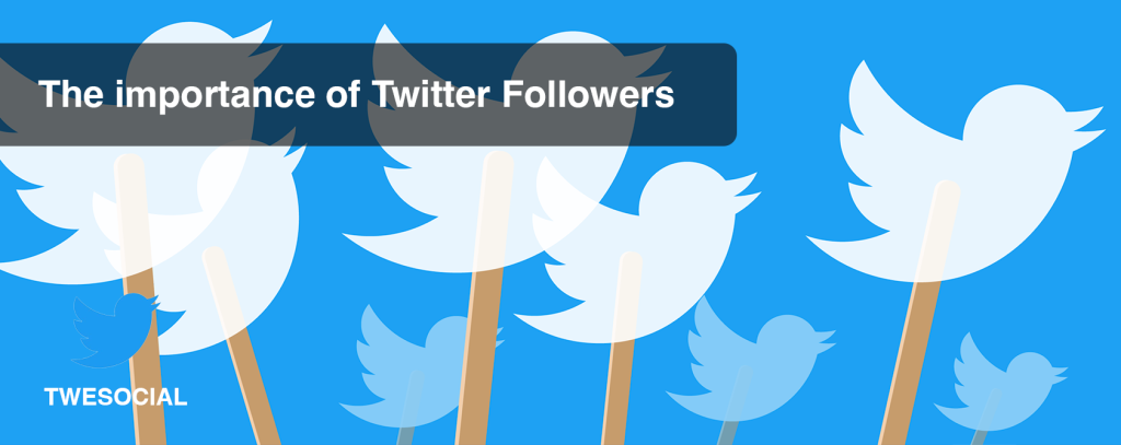 The Importance of Twitter Followers