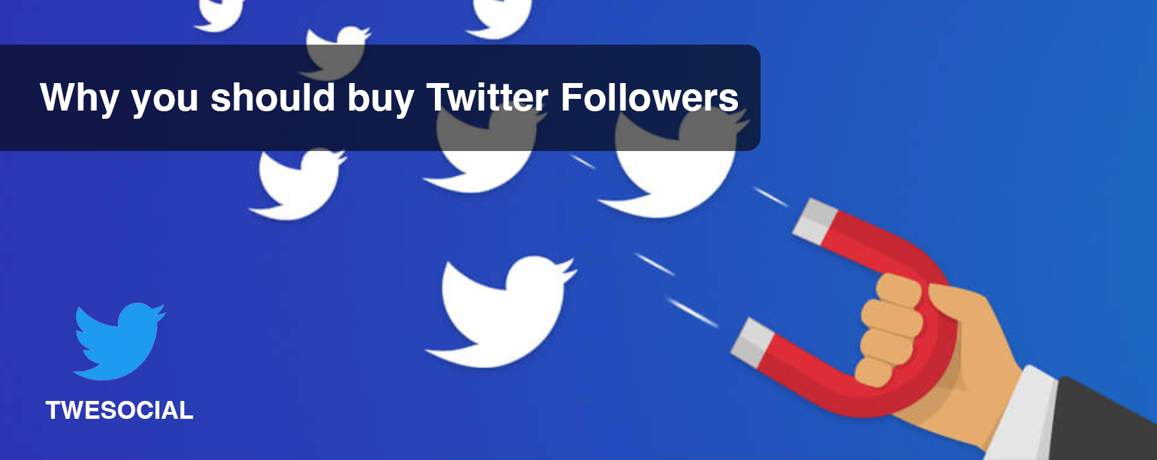 Why you should buy Twitter Followers