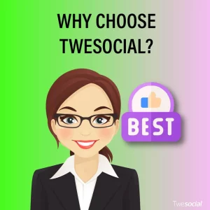 Why Choose TweSocial to buy Twitter Views