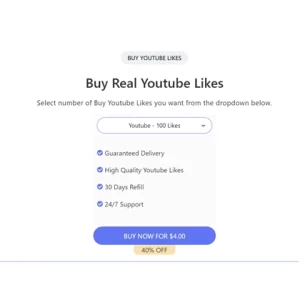 buy 100 YouTube likes