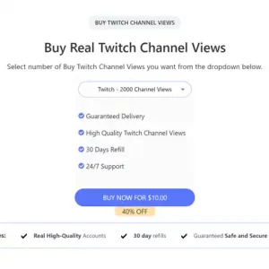 buy real twitch channel views