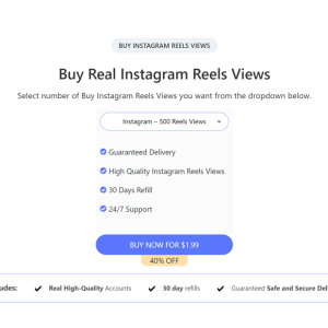 buy real instagram reels views