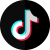 TikTok icon