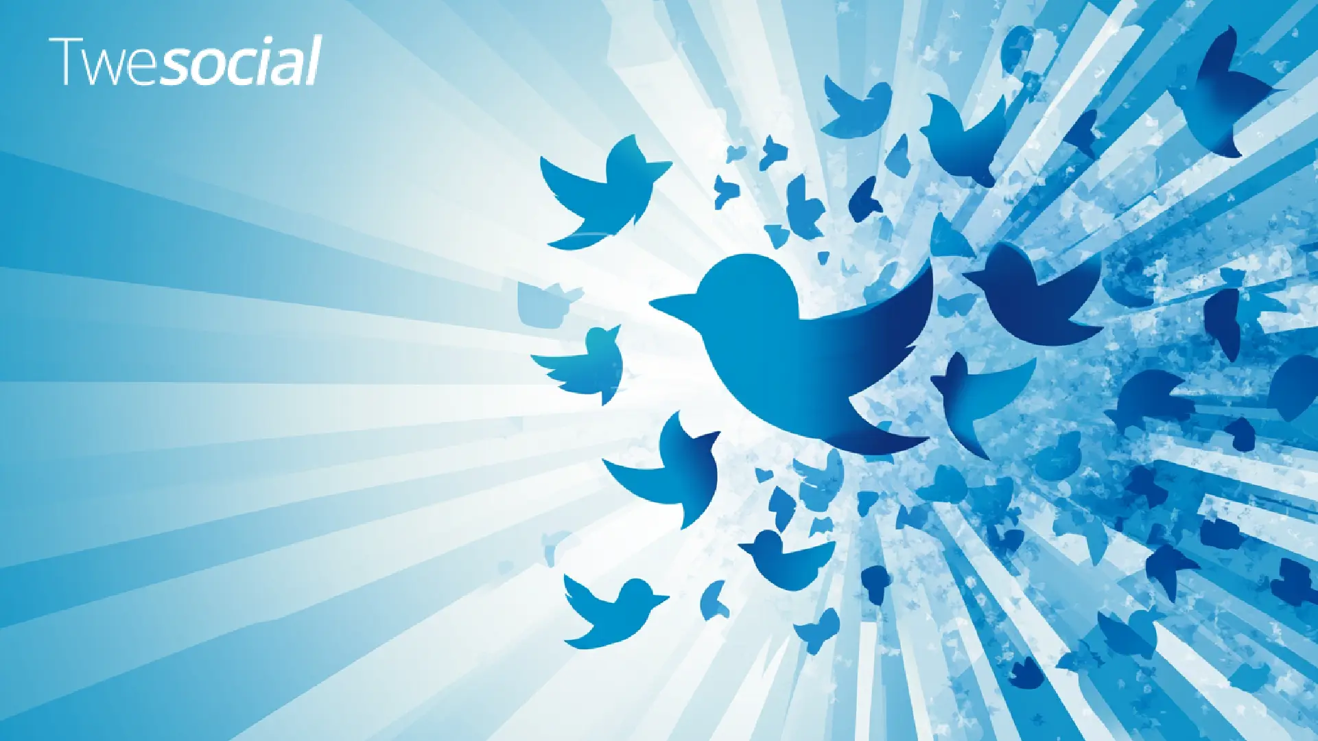 twitter timeline
