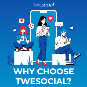 why choose twesocial to buy instagram story views