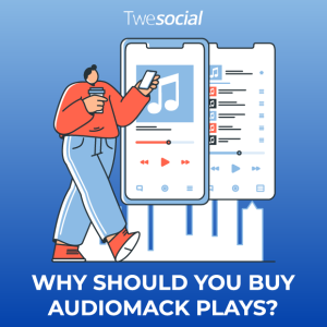 Why should you buy audiomack plays