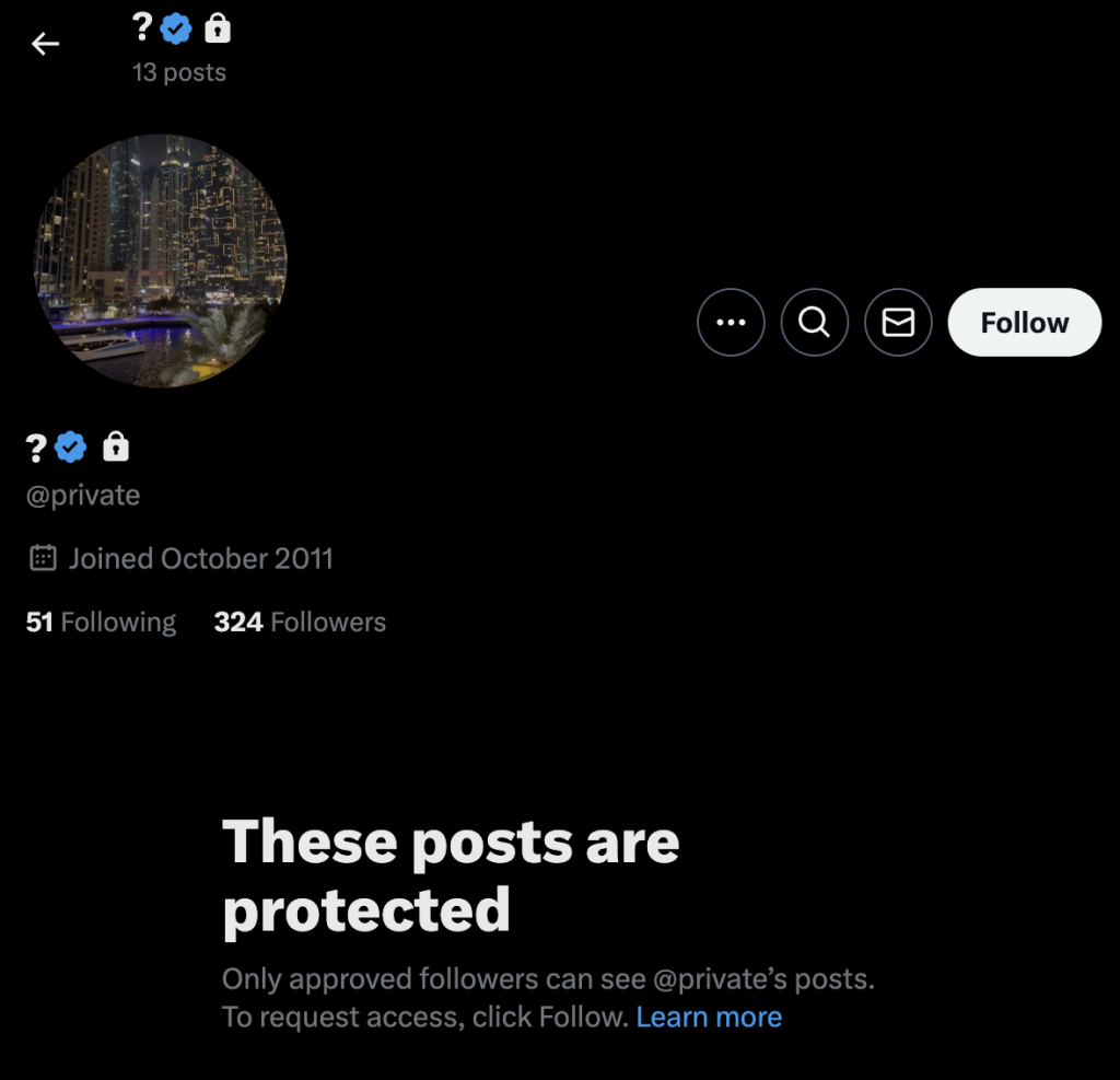 private twitter x account