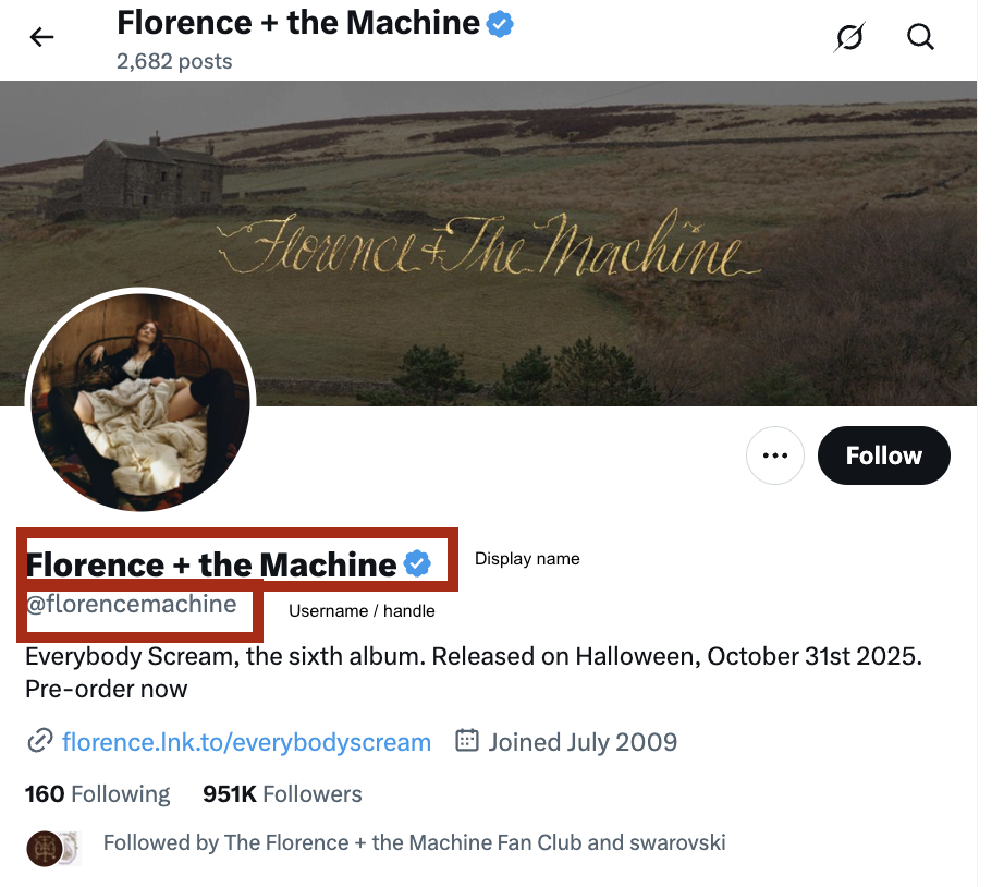 how to change name on twitter display name vs username 